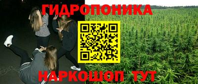 PSILOCYBIN Новодвинск