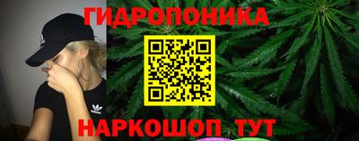 мяу мяу мука Новокубанск